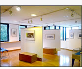 �B�e�X�^�W�I��� �S����