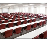 �B�e�X�^�W�I��� �S����